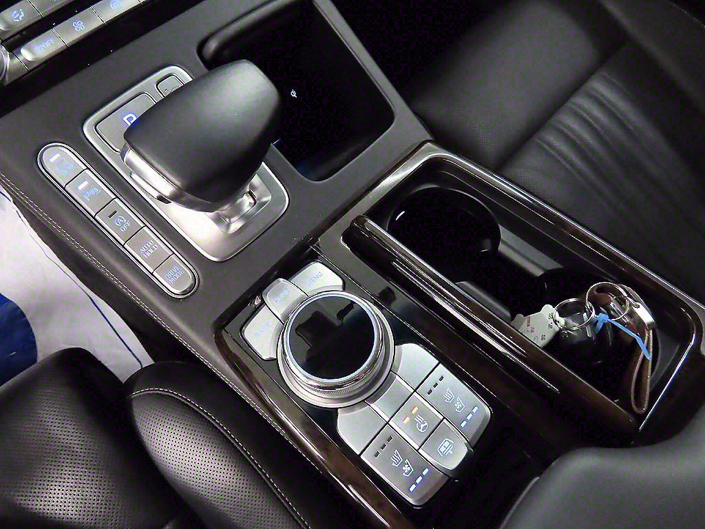 Genesis G90 - Vista 10