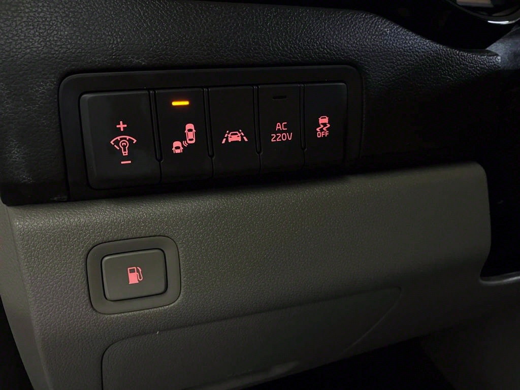 KIA Carnival - Vista 12