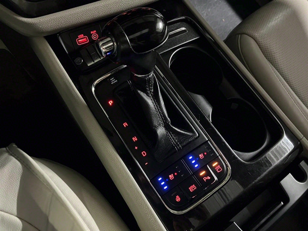 KIA Carnival - Vista 11