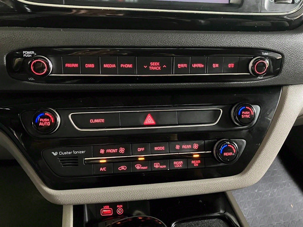 KIA Carnival - Vista 10