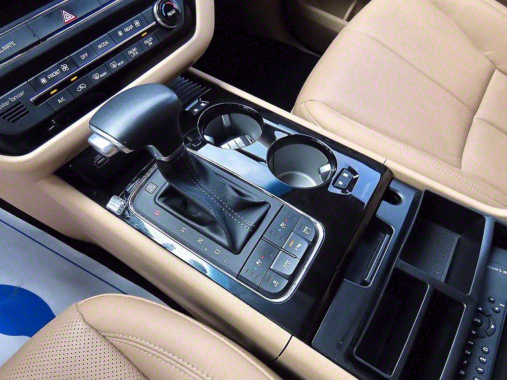 KIA Carnival - Vista 11