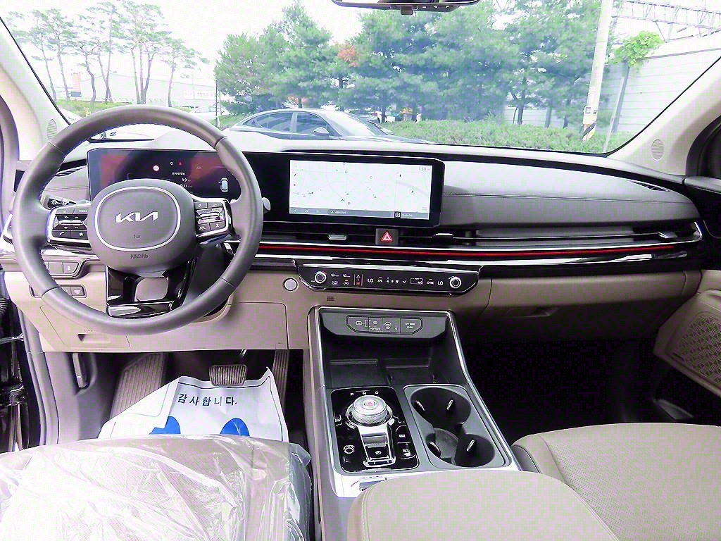 KIA Carnival - Vista 8