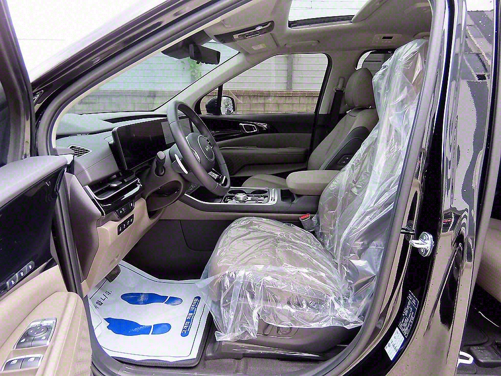 KIA Carnival - Vista 5
