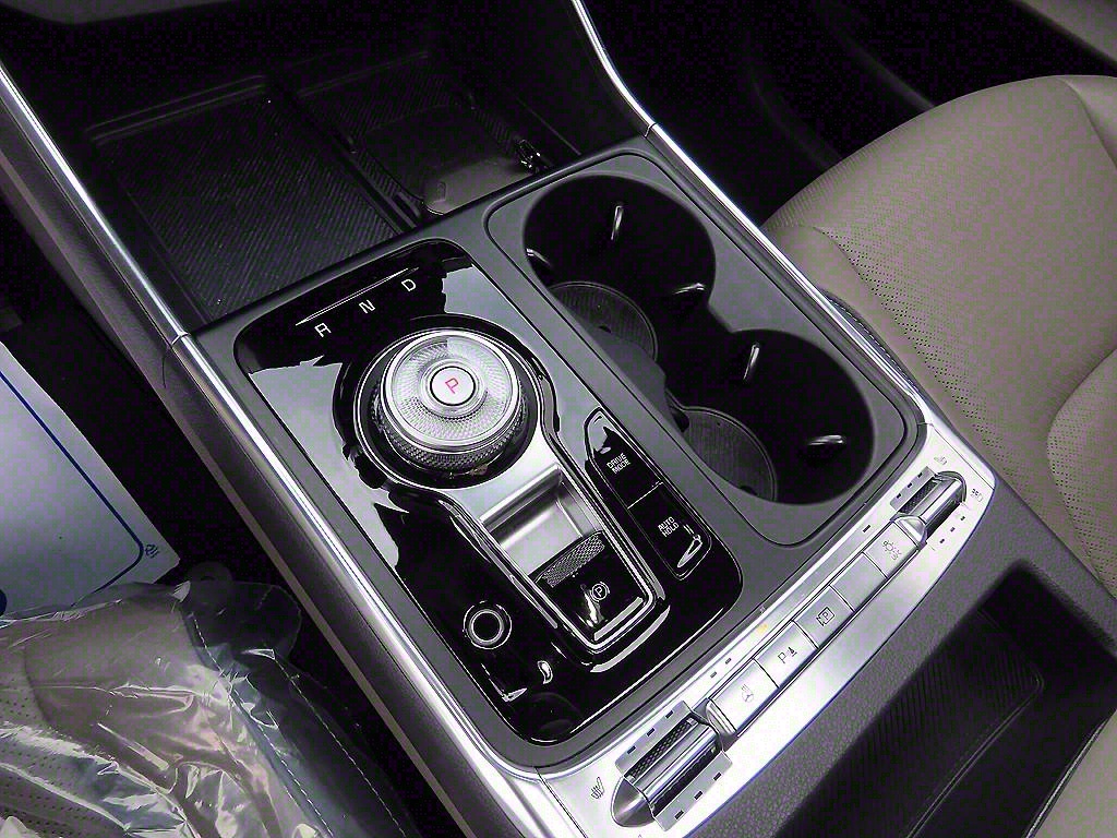 KIA Carnival - Vista 12