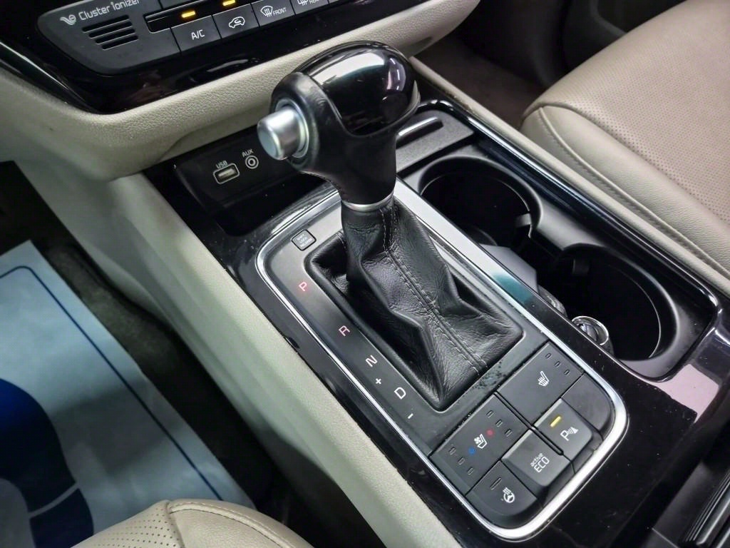 KIA Carnival - Vista 8