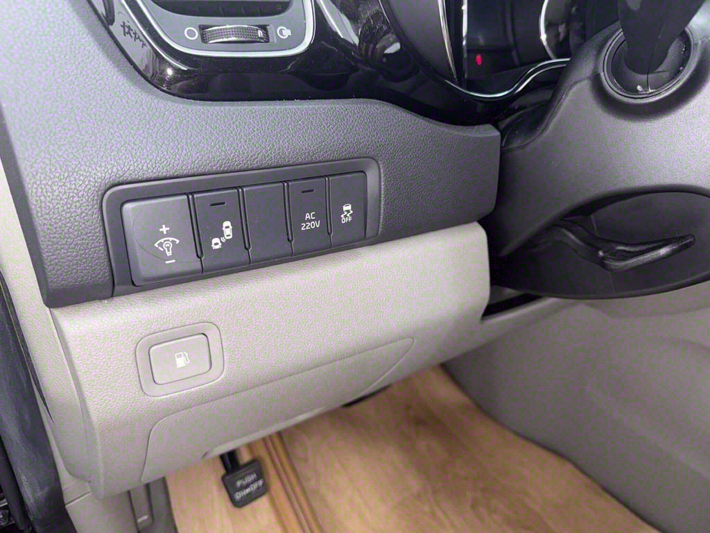 KIA Carnival - Vista 10