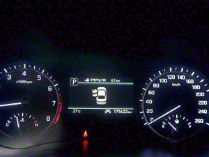 Genesis G80 - Vista 12