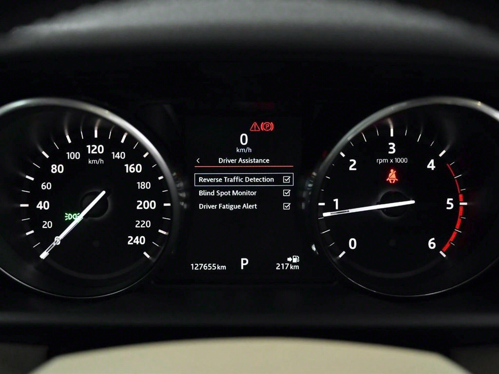 Land Rover Discovery - Vista 11