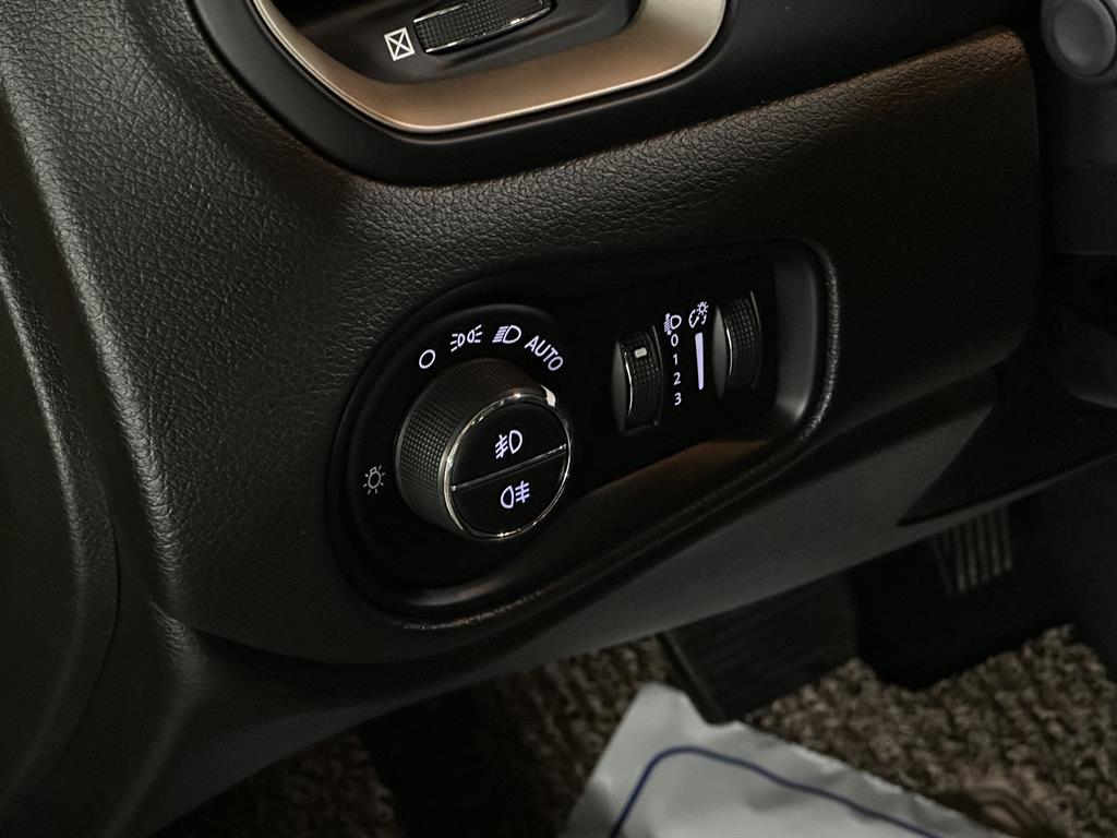 Jeep Renegade - Vista 11