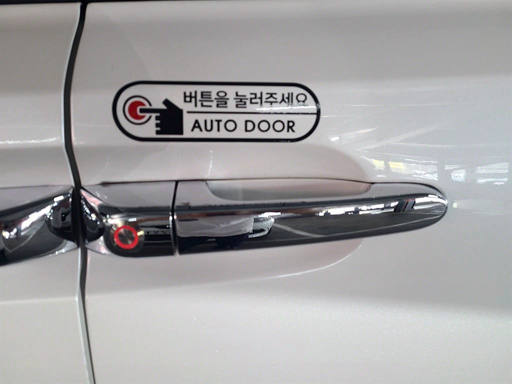 KIA Carnival - Vista 10