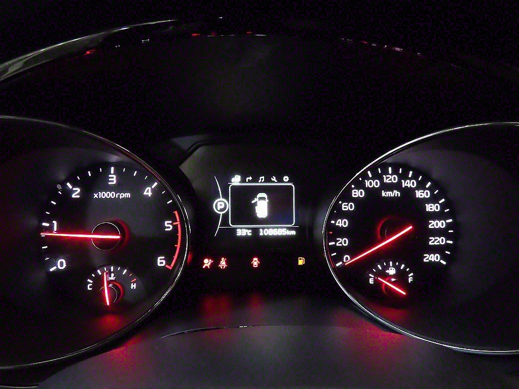 KIA Carnival - Vista 10