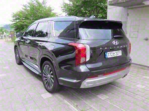 HYUNDAI Palisade - Vista 8