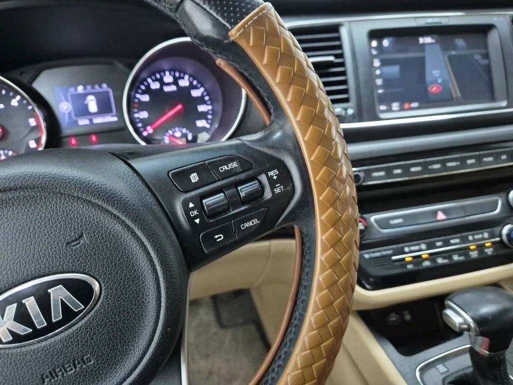 KIA Carnival - Vista 12