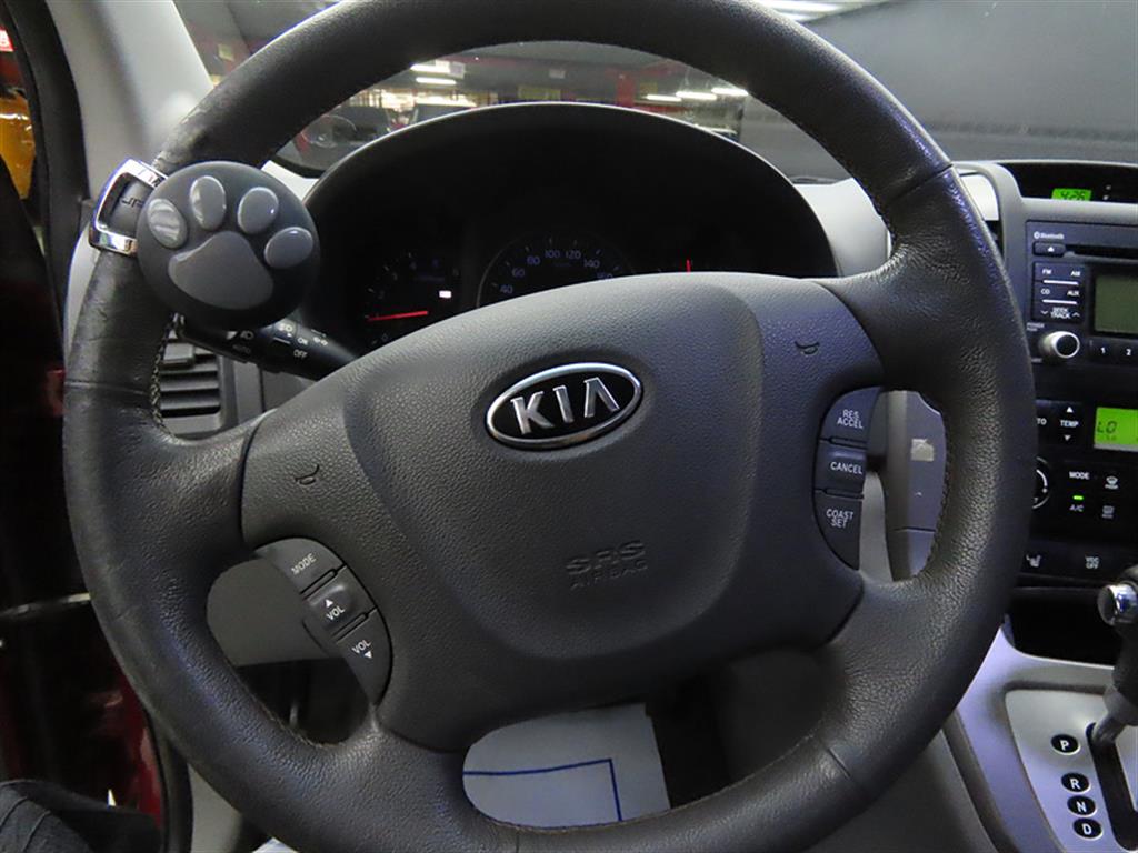 KIA Carnival - Vista 8