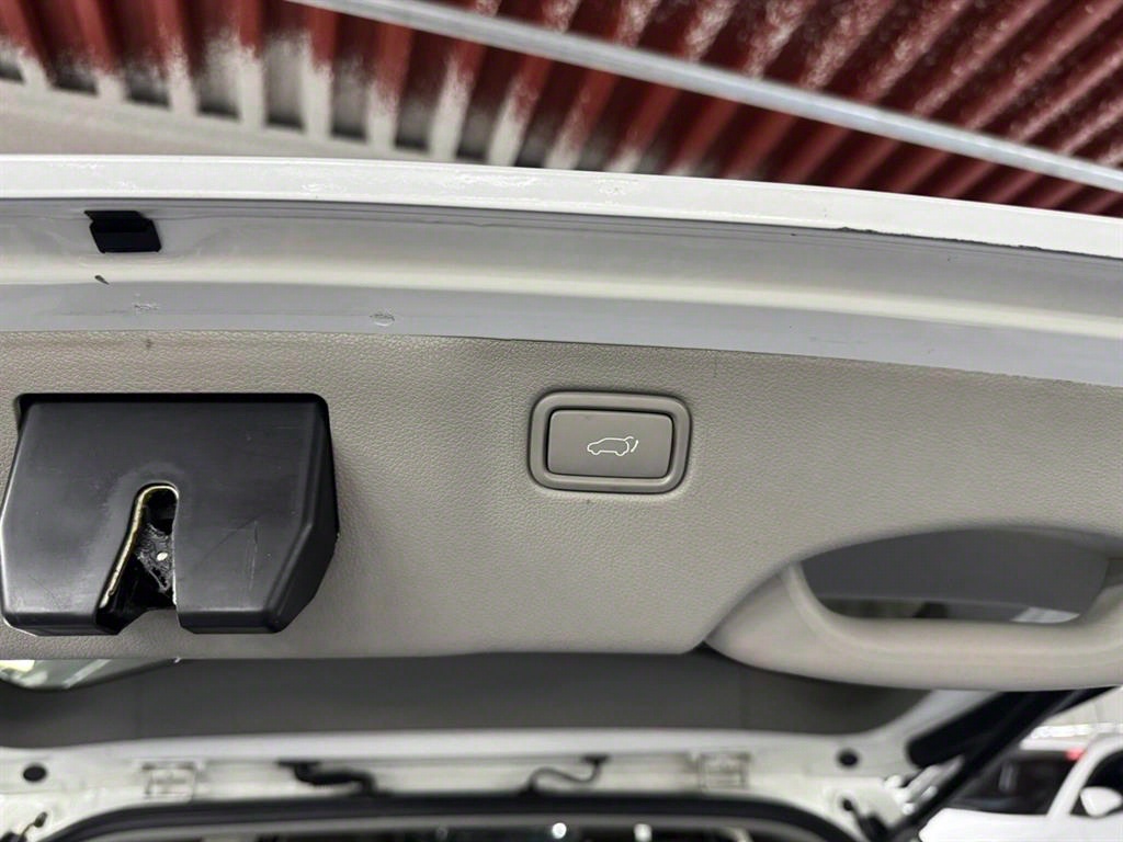 KIA Carnival - Vista 9