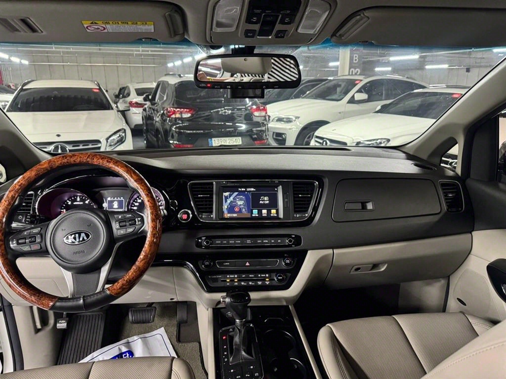 KIA Carnival - Vista 12