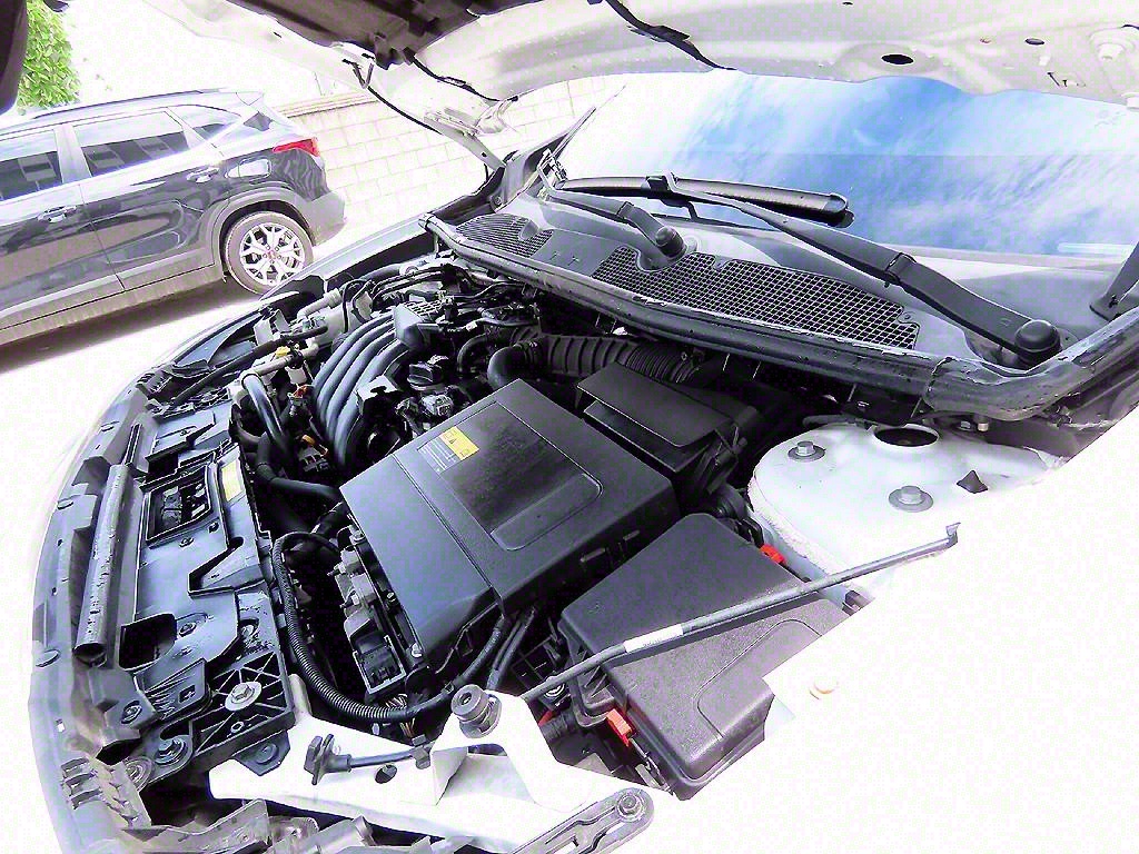 SAMSUNG SM3 2015 Blanco - Importación desde Corea - HF Imports Iquique - Foto 18