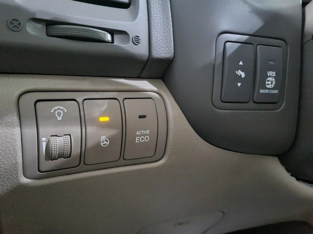 KIA Carnival - Vista 12