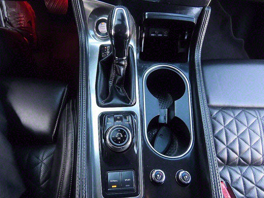 Nissan Maxima - Vista 10