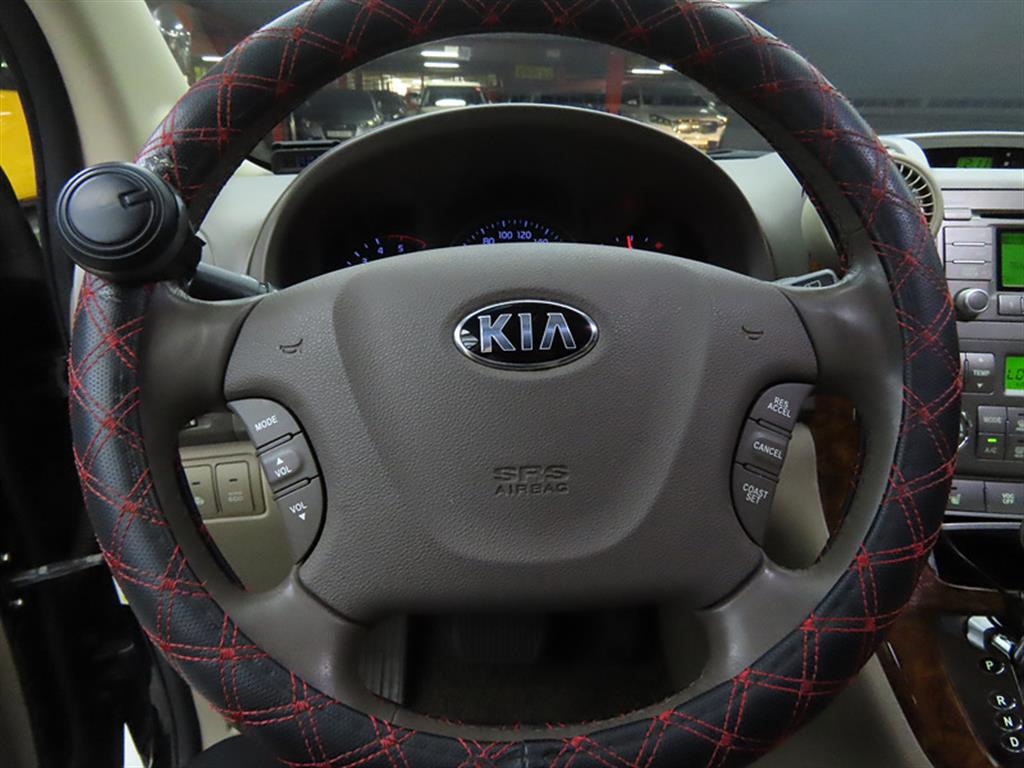 KIA Carnival - Vista 8