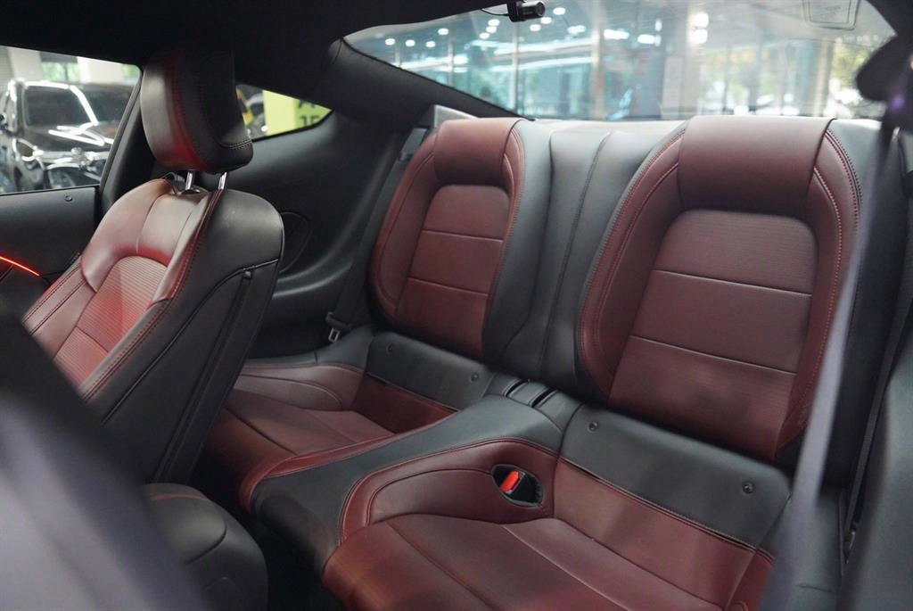 Ford Mustang - Vista 7