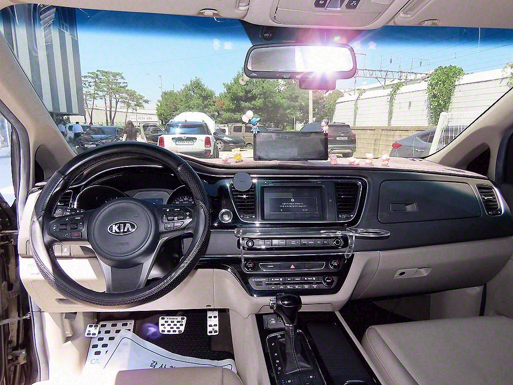 KIA Carnival - Vista 8