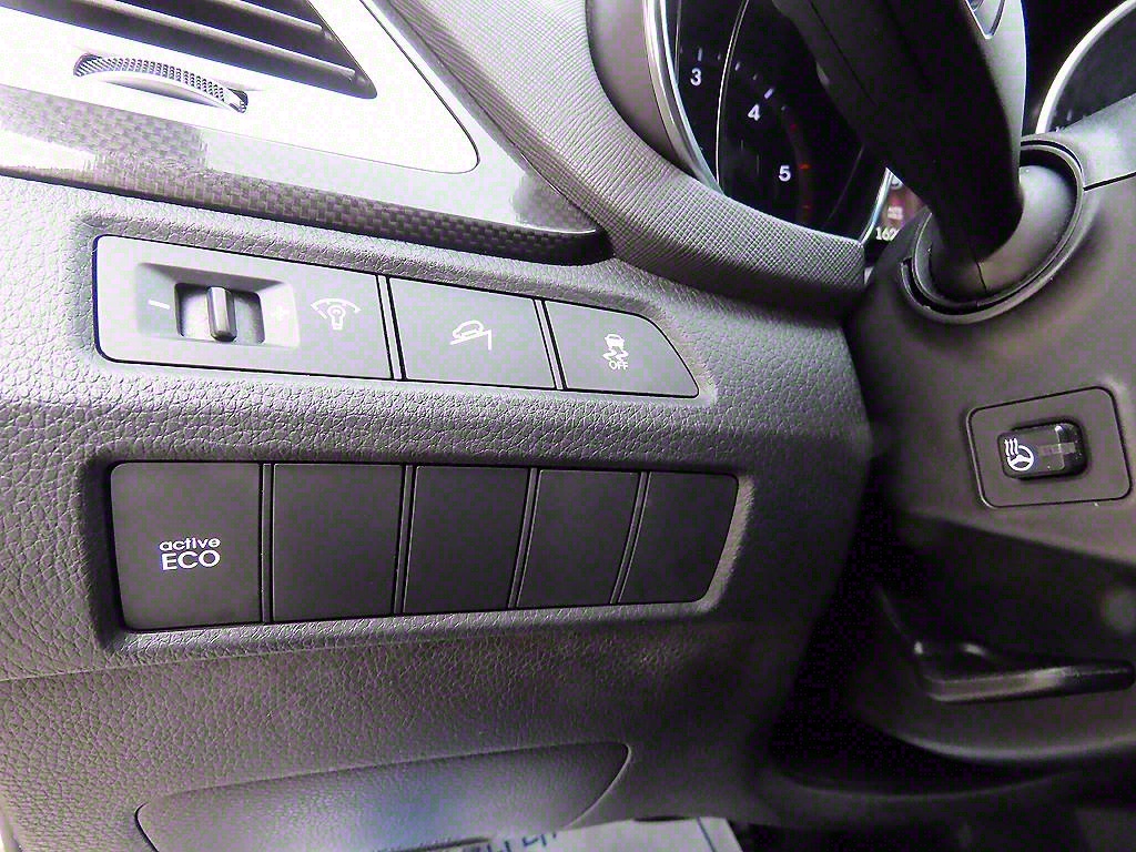 HYUNDAI Santa Fe - Vista 12