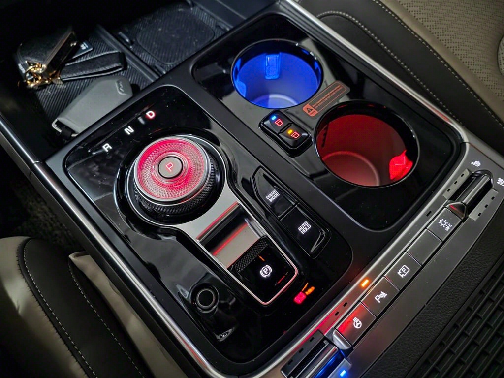 KIA Carnival - Vista 12