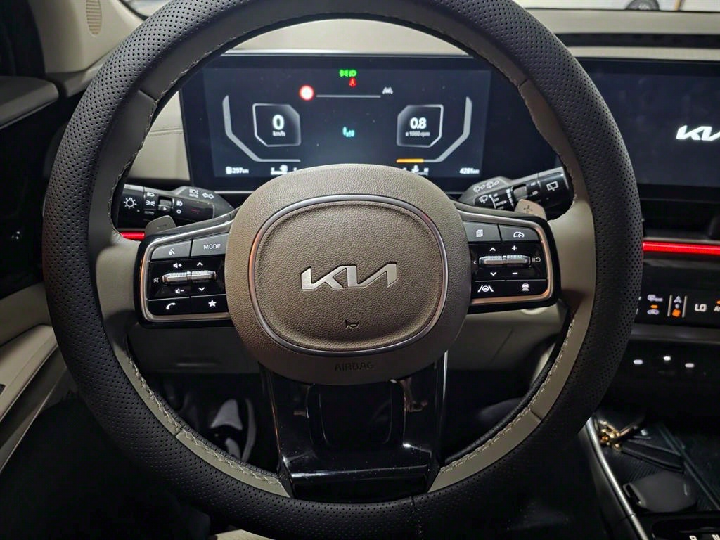 KIA Carnival - Vista 7