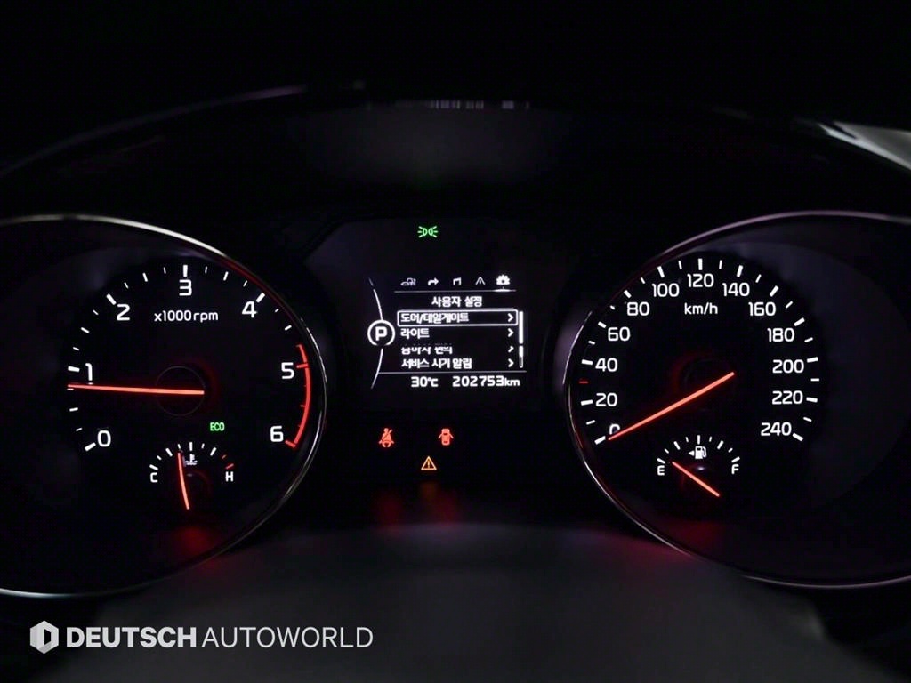 KIA Carnival - Vista 8