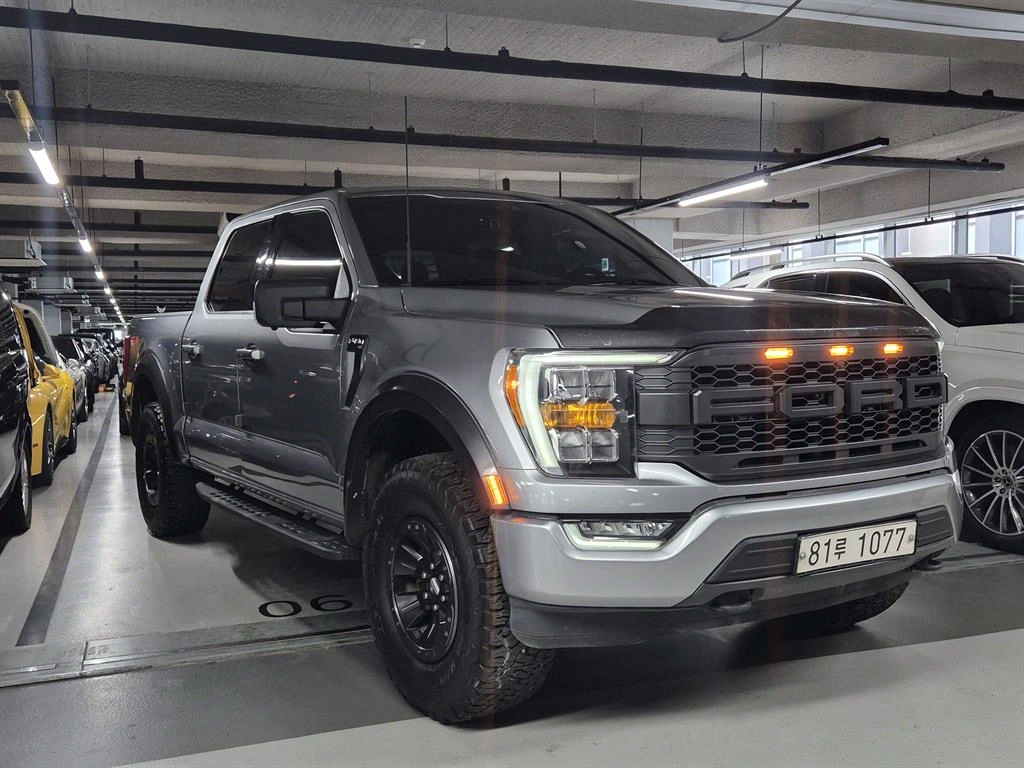 Ford F-Series - Vista 4