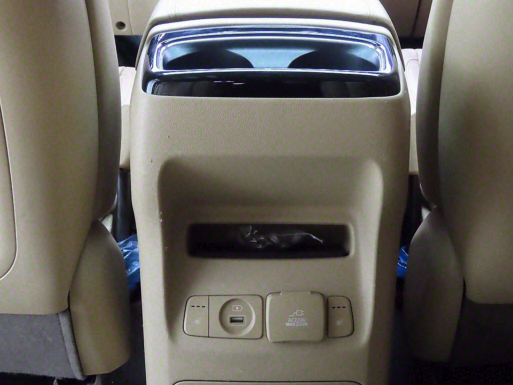 KIA Carnival - Vista 12