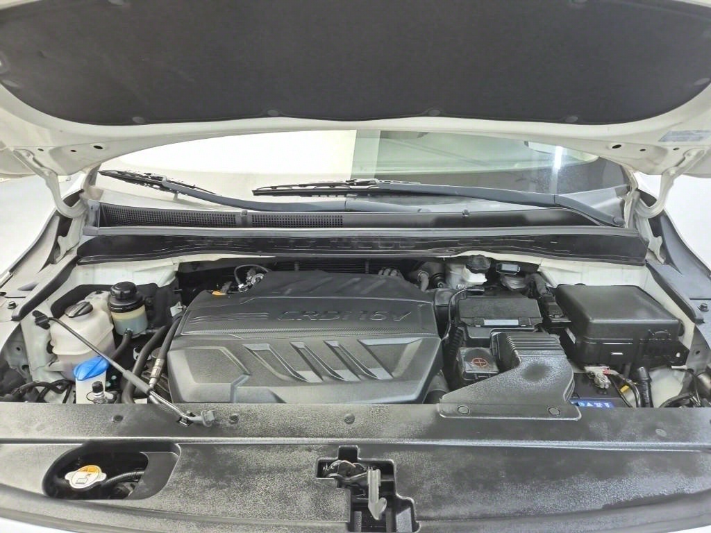 KIA Carnival - Vista 5