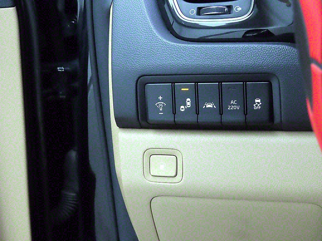 KIA Carnival - Vista 11