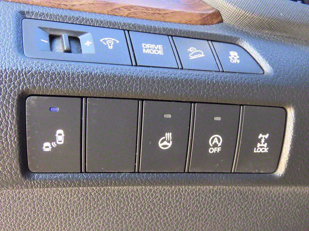 HYUNDAI Maxcruz - Vista 10