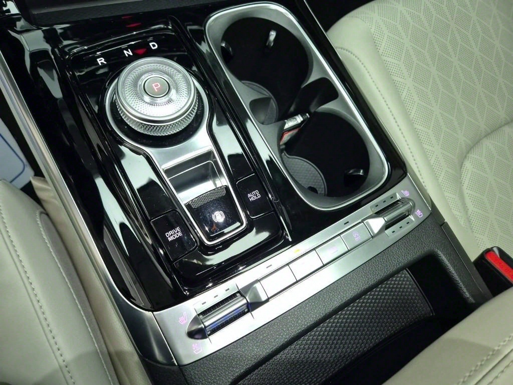 KIA Carnival - Vista 8