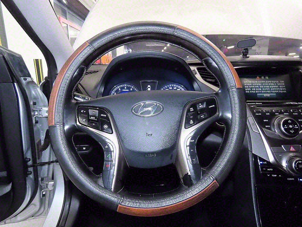 HYUNDAI Grandeur - Vista 10