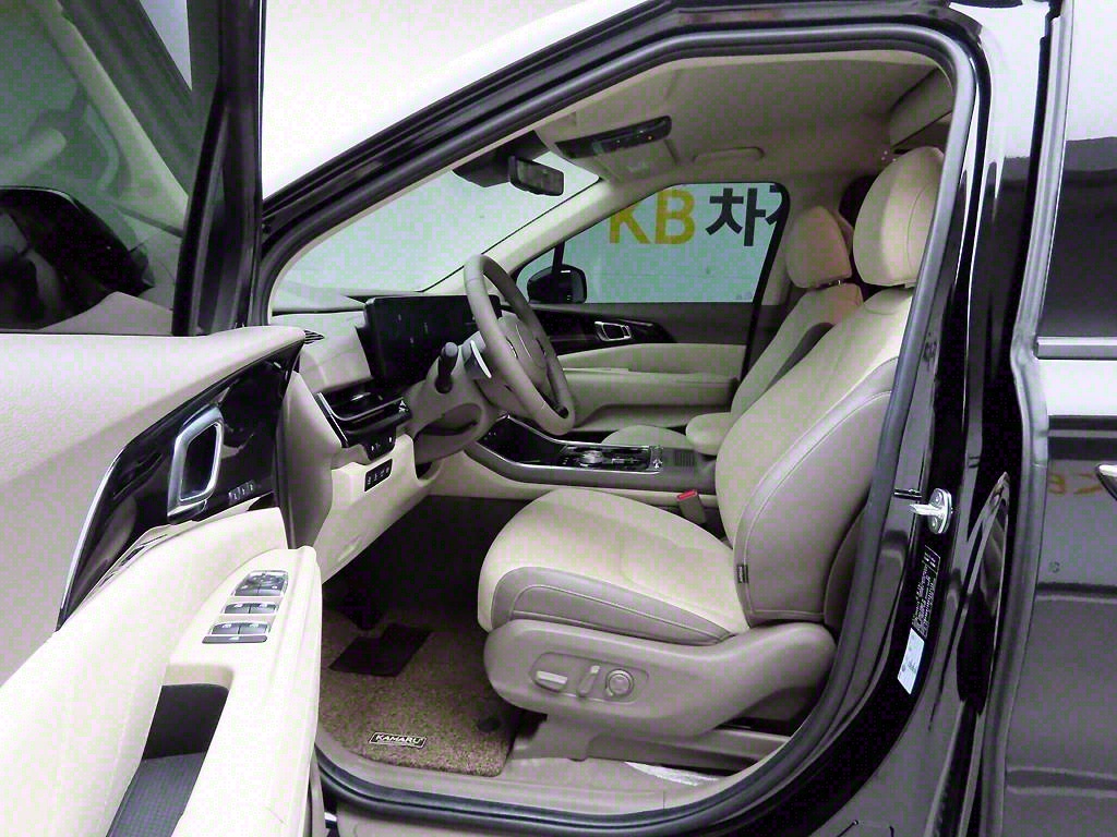 KIA Carnival - Vista 12