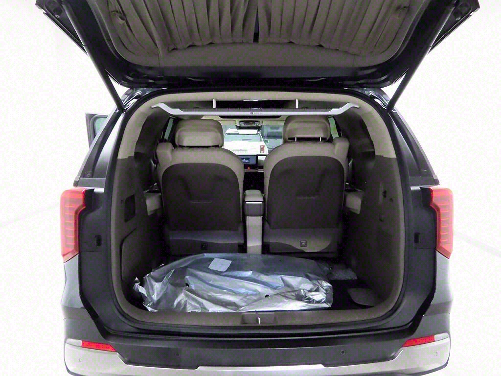 KIA Carnival - Vista 5