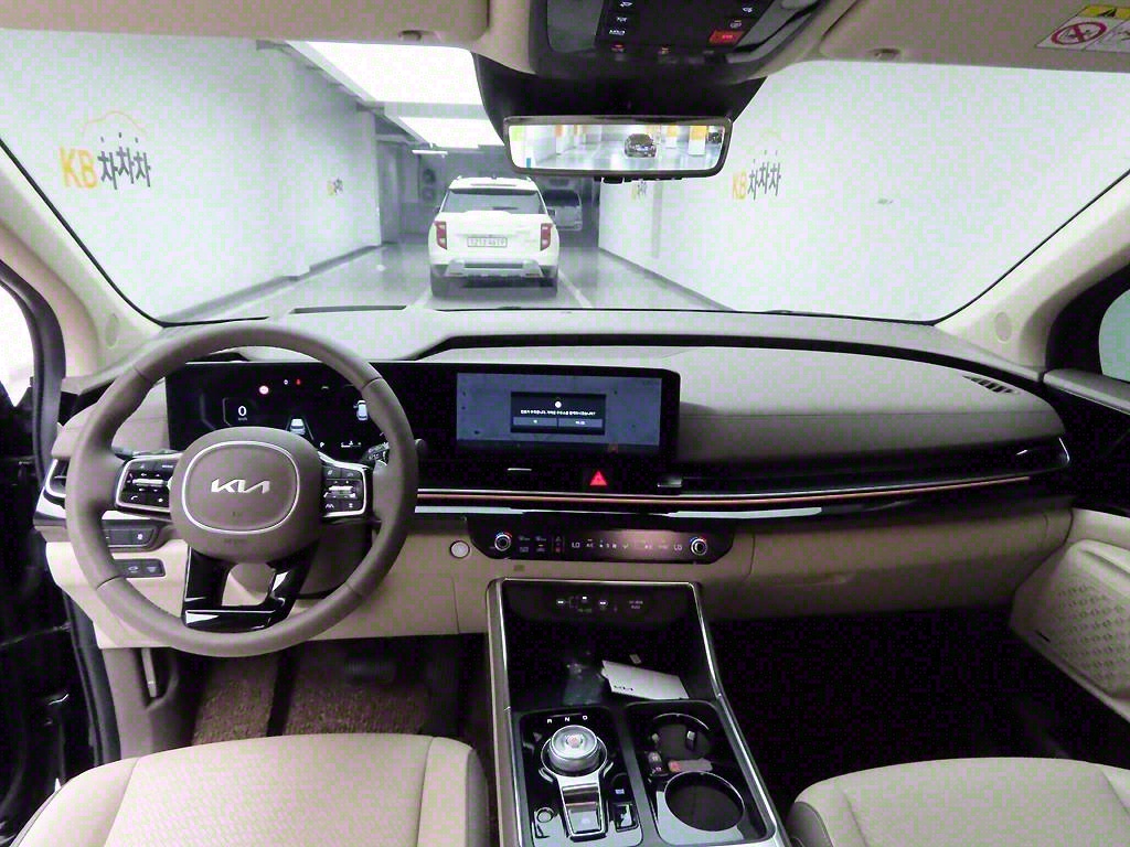 KIA Carnival - Vista 8