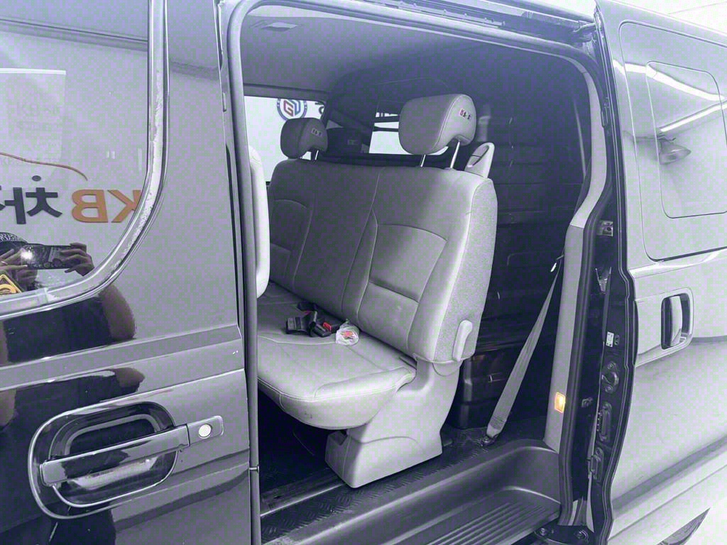 HYUNDAI Starex - Vista 6