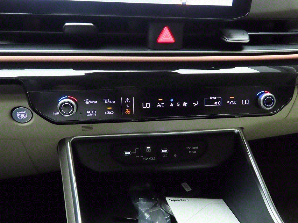 KIA Carnival - Vista 10