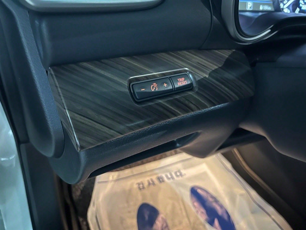 Nissan Maxima - Vista 11