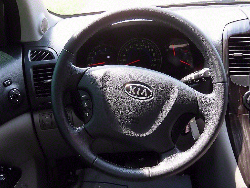 KIA Carnival - Vista 8