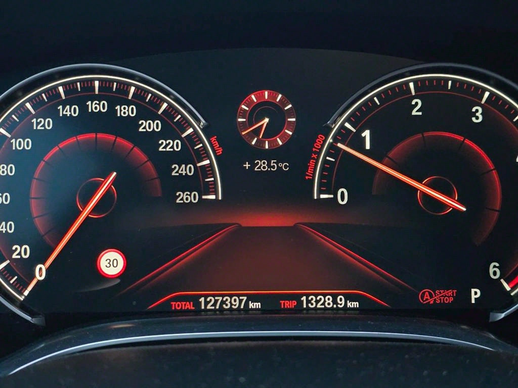 BMW 7 Series - Vista 9