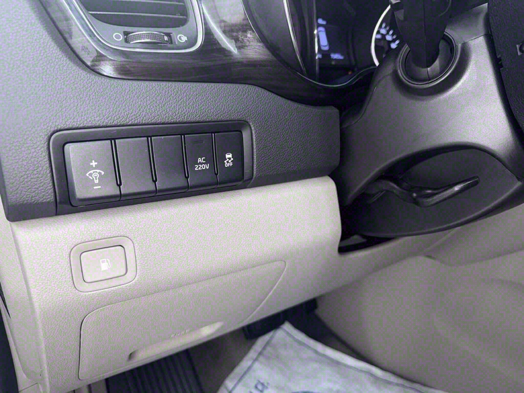 KIA Carnival - Vista 11