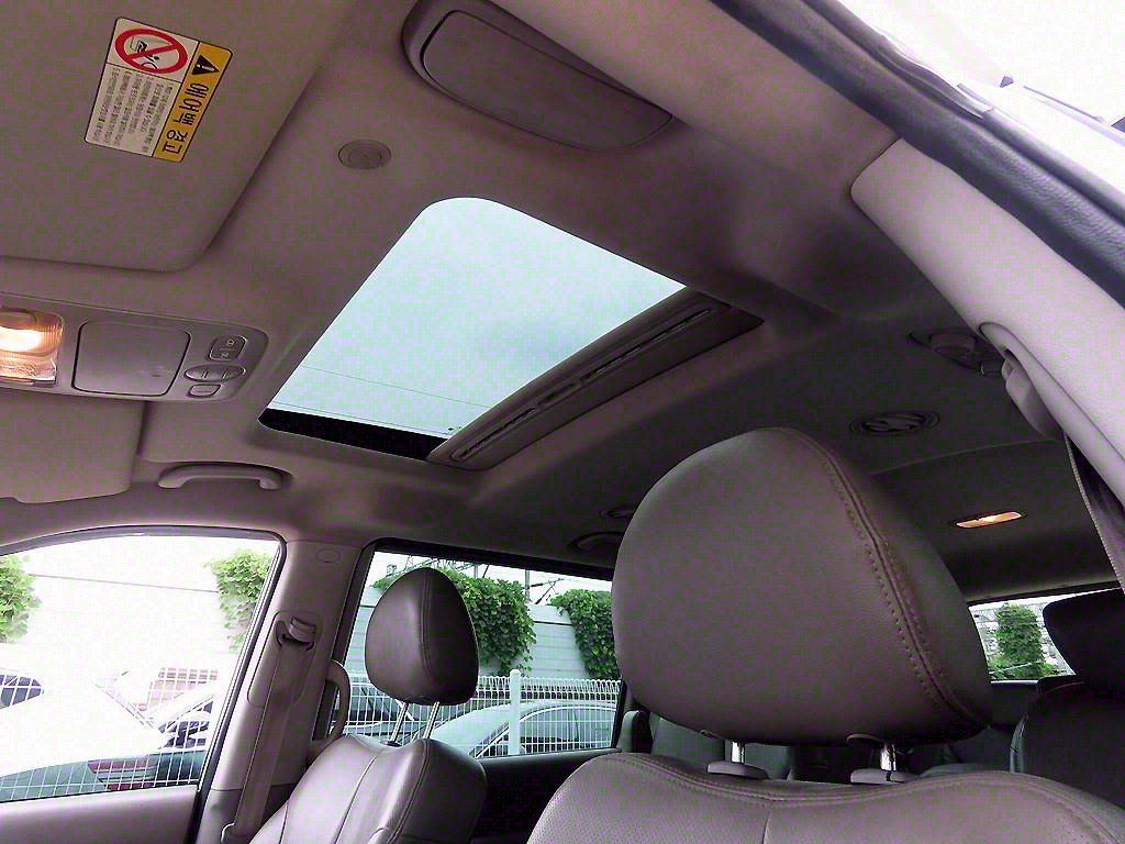 KIA Carnival - Vista 4