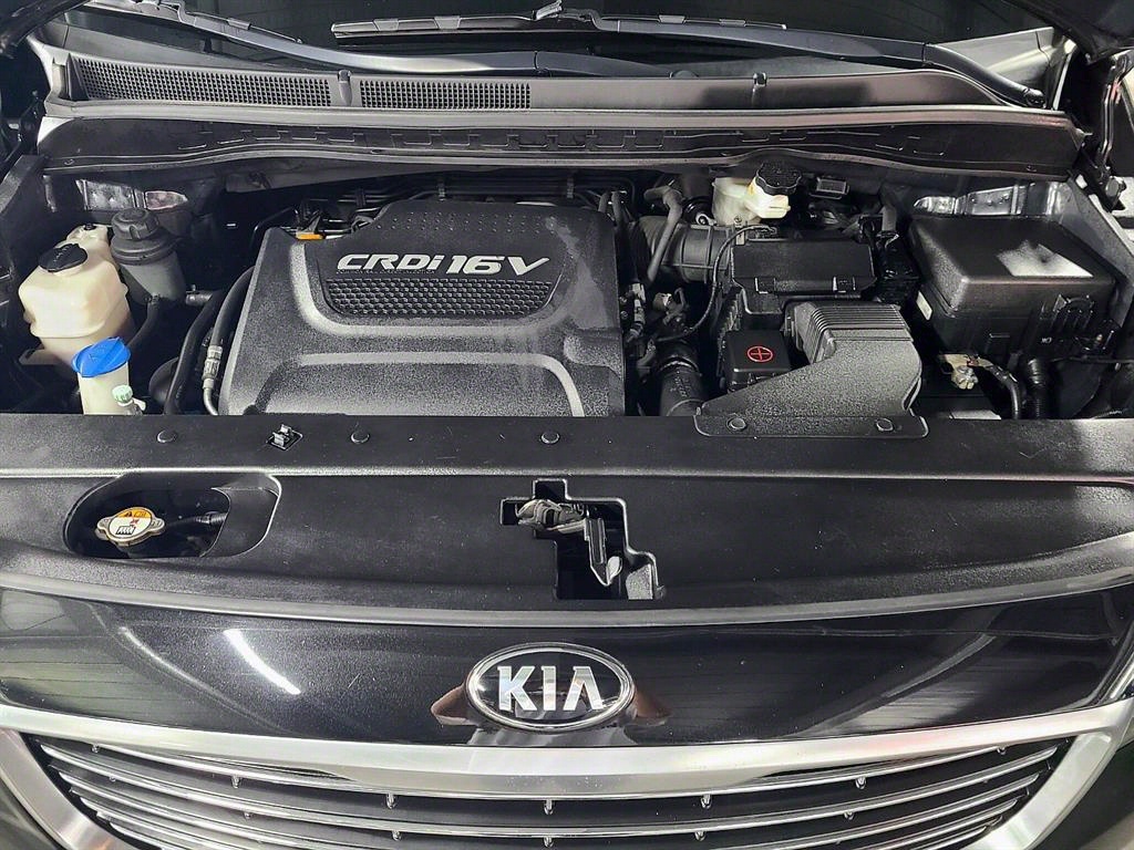 KIA Carnival - Vista 5