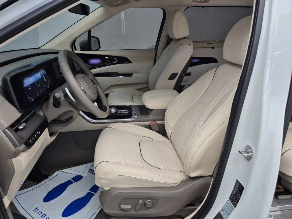 KIA Carnival - Vista 11