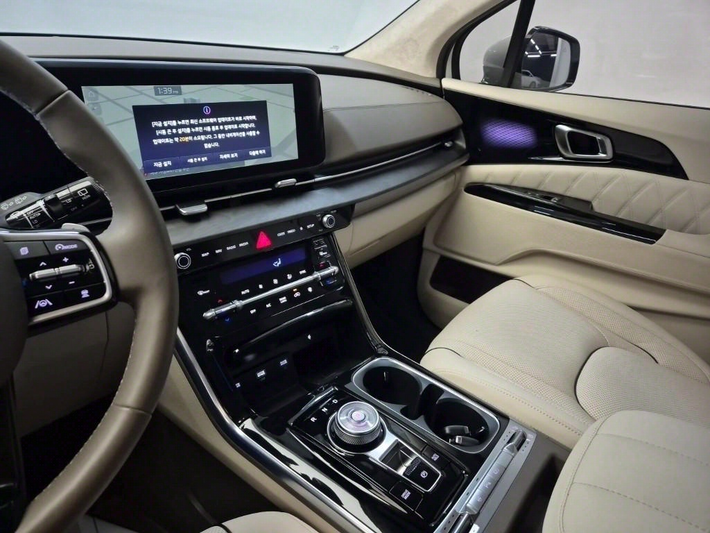 KIA Carnival - Vista 10